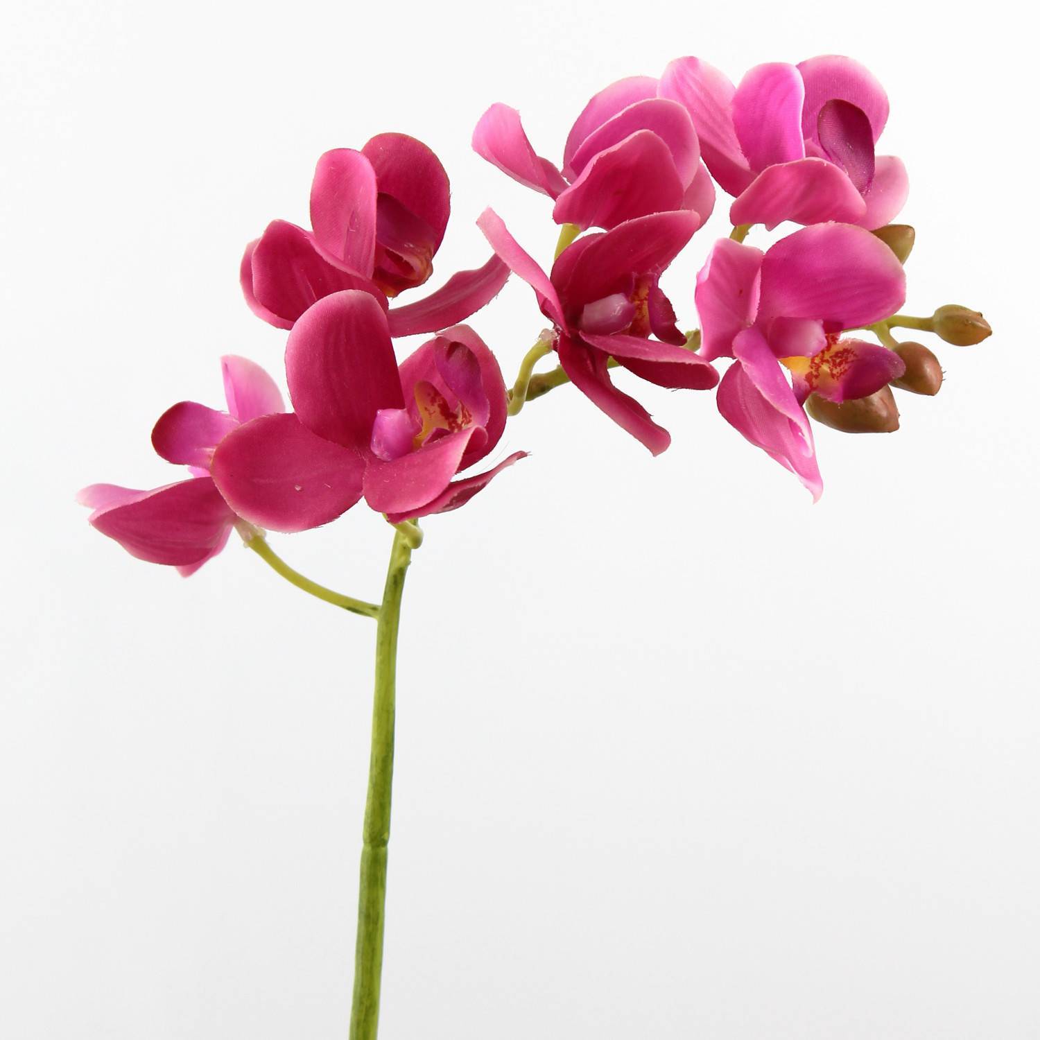 Orchidea phalaenopsis artificiale JASMIN in vaso di ceramica, rosa scuro,  35cm