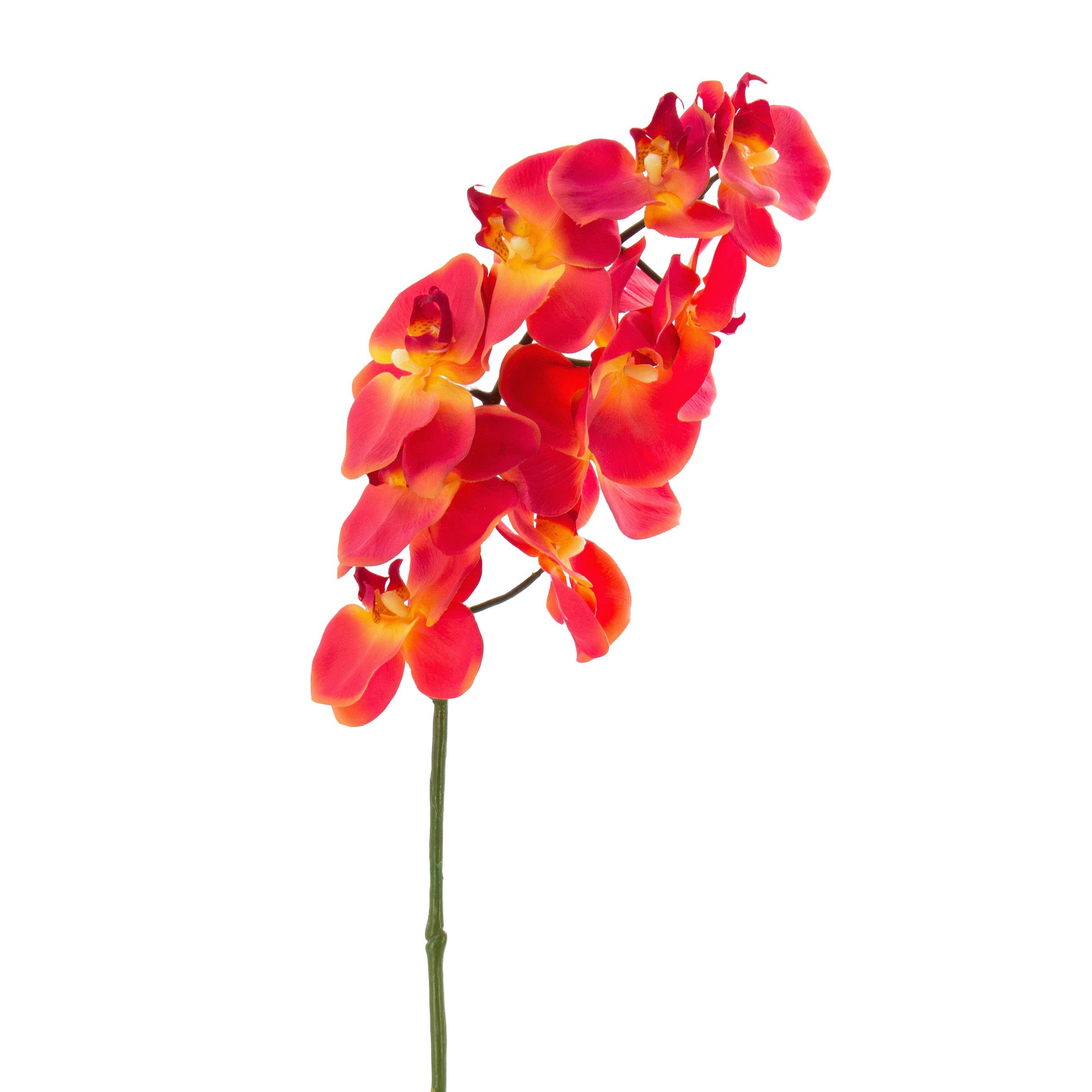 Ramo di orchidea finta STINA, rosso, 65cm