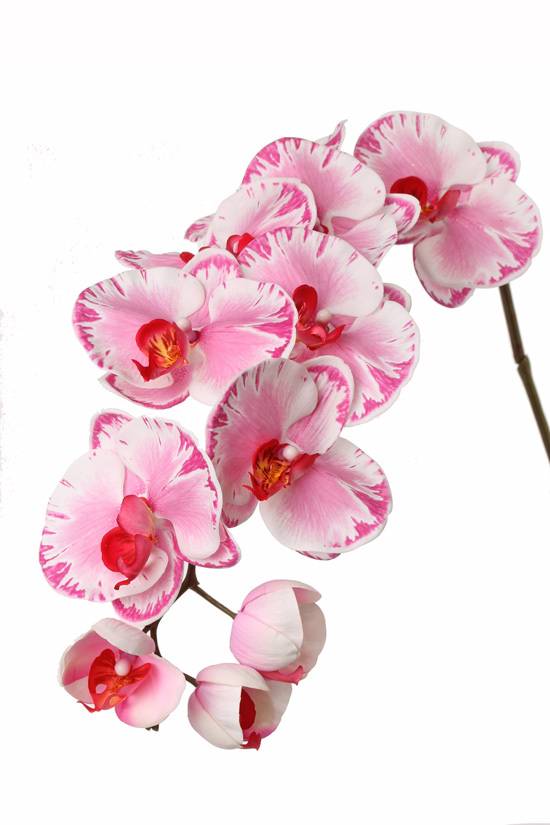 Ramo di orchidea Phalaenopsis di plastica RUNA, rosa-rosa, 100cm