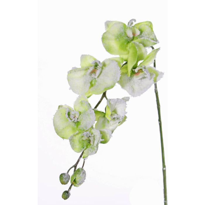 Orchidea Artificiale Verde