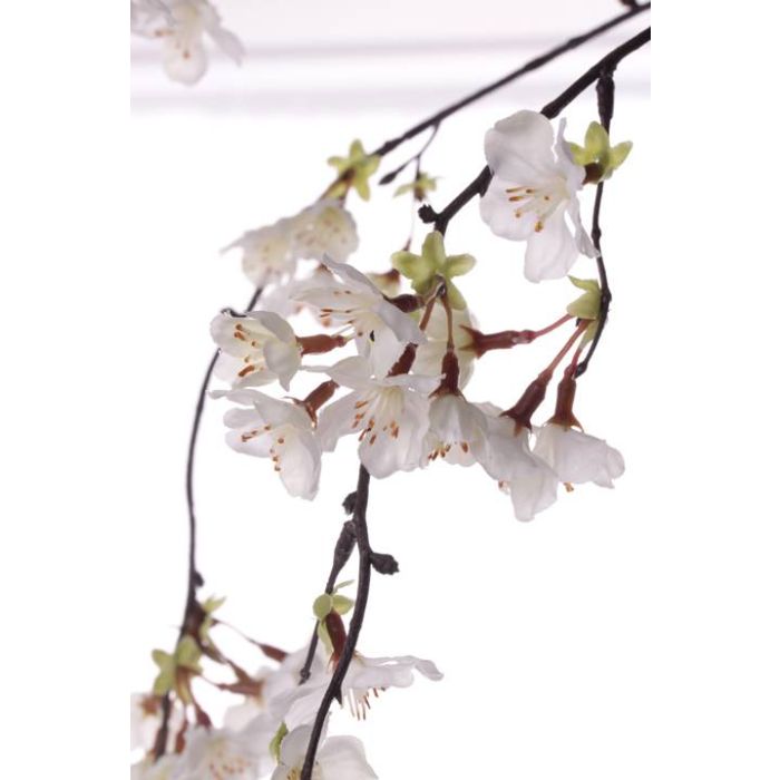 Ramo decorativo di fiori di ciliegio KAGAMI, fiorito, bianco, 120cm