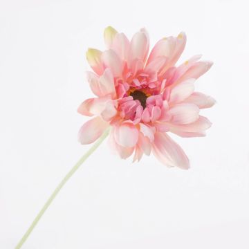 Gerbera artificiale VIRGINIA, rosa crema, 55cm, Ø11cm