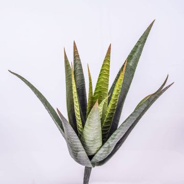 Aloe Variegata finto MARTINEZ su stelo, verde, 30cm, Ø17cm