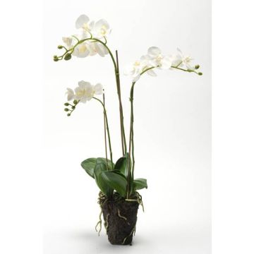 Orchidea Phalaenopsis di plastica PABLA, terriccio, bianco, 70cm