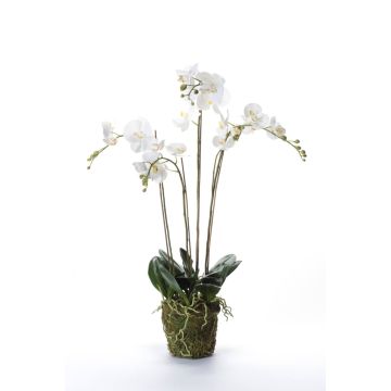 Orchidea Phalaenopsis di plastica PABLA, palla di muschio, bianca, 90cm