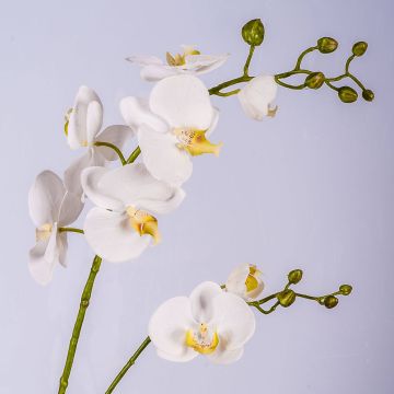 Ramo decorativo di orchidea Phalaenopsis LAHNA, bianco, 95cm