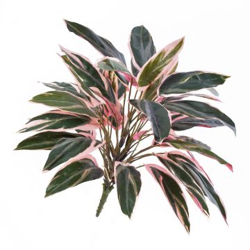 Cordyline artificiale THAIS su stelo, verde-rosa, 50cm