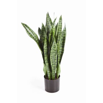 Sansevieria finta BEYZA, verde, 80cm