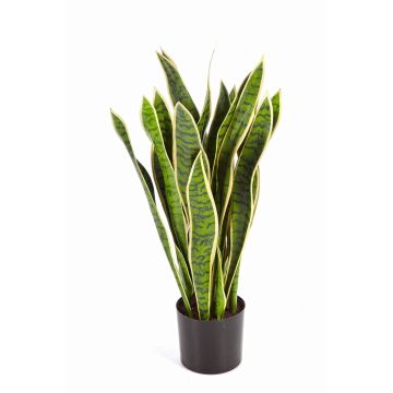 Sansevieria finta BEYZA, verde-giallo, 80cm