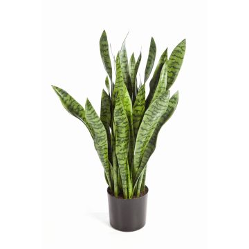 Sansevieria finta BEYZA, verde, 95cm