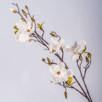 Magnolia artificiale LILO, crema, 110cm, Ø5-9cm