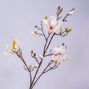 Magnolia artificiale LILO, bianco-rosa, 110cm, Ø5-9cm