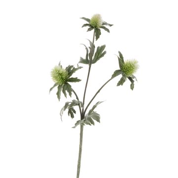 Cardo artificiale SVEA, verde, 40cm, Ø2-3cm