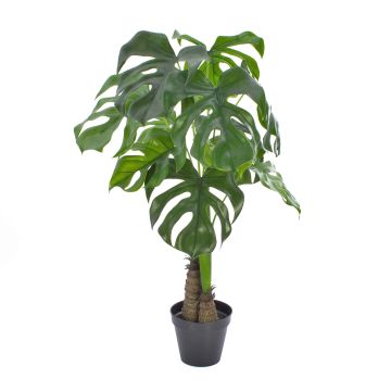 Filodendro di plastica Monstera Deliciosa FABIUS, zona trasversale, 90cm