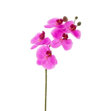 Ramo tessile di orchidea Phalaenopsis EMILIA, rosa, 60cm