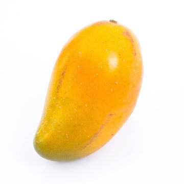 Mango di plastica FLORISA, giallo-arancione, 13cm, Ø8cm