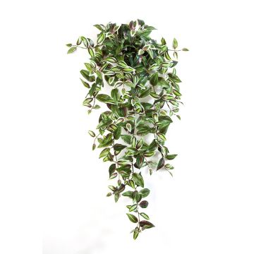 Tradescantia Zebrina finta PANCHO, su stelo, verde-viola, 95cm