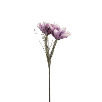 Magnolia di plastica NEYLA, zona trasversale, viola, 100cm, Ø12-14cm