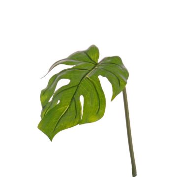 Foglia finta di filodendro Monstera Deliciosa LANDER, 55cm