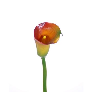 Calla decorativa CHIDORA, giallo-arancione, 55cm, 5x6cm