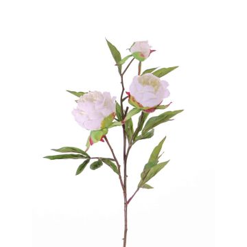 Ramo di peonia artificiale MANJA, bianco, 70cm, Ø8-10cm