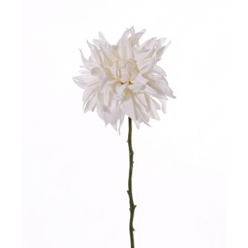 Dalia di plastica SMILA, crema, 55cm, Ø12cm