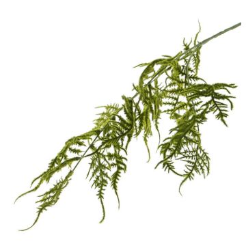 Ramo decorativo di Asparagus plumosus CHRISTIAN, verde, 85cm