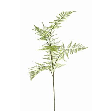 Ramo finto di Asparagus plumosus HAYDON, verde, 85cm