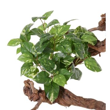 Pothos artificiale NAEL, stelo, difficilmente infiammabile, verde-bianco, 50cm