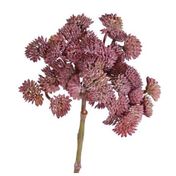 Sedum finto DANICA, rosso scuro, 20cm, Ø10cm