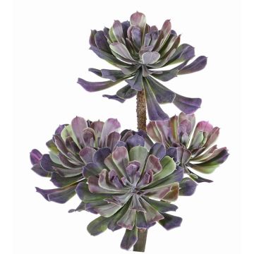 Aeonium finto ELOISE su stelo, verde-viola, 30cm, Ø20cm