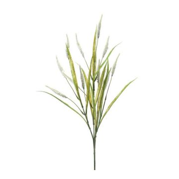 Pennisetum finto ORFEO, pannocchie, su stelo, crema, 70cm