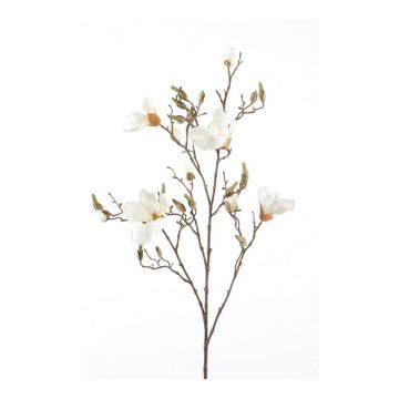 Magnolia finta CAELO, crema, 105cm