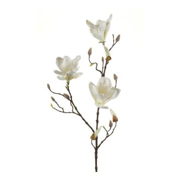 Magnolia decorativa MALVAO, crema, 90cm