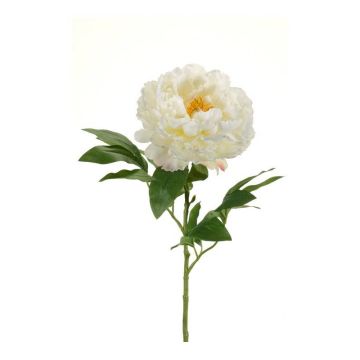 Peonia di plastica DIVIN, crema, 65cm