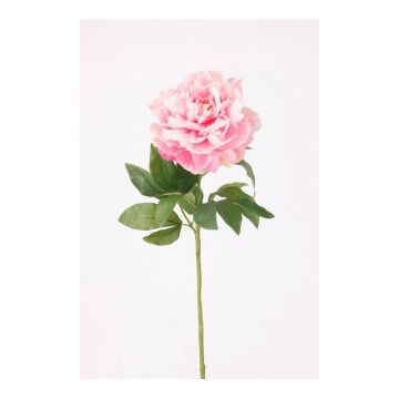 Peonia di plastica DIVIN, rosa, 65cm