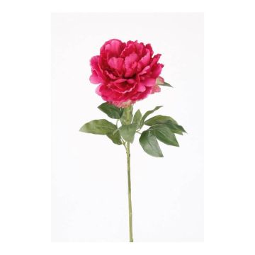 Peonia di plastica DIVIN, fucsia, 65cm