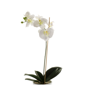 Orchidea phalaenopsis finta ISIS, su stelo, bianco, 60cm