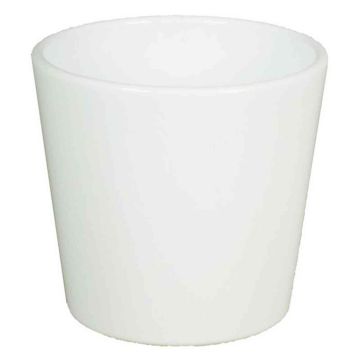 Vaso per orchidee BANEH, ceramica, bianco, 12,5cm, Ø13,5cm