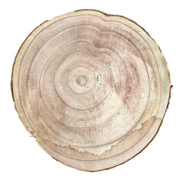 Fetta di legno di paulownia JESSALYN, naturale, Ø25-27cm