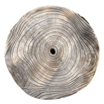 Fetta di legno di paulownia JESSALYN, grigio, Ø25-27cm