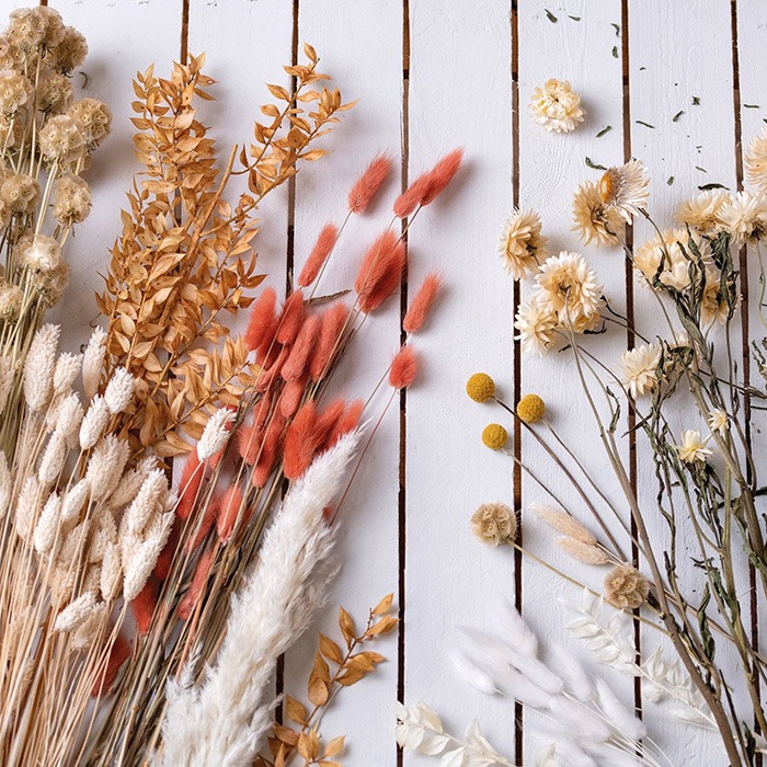 Fiori secchi